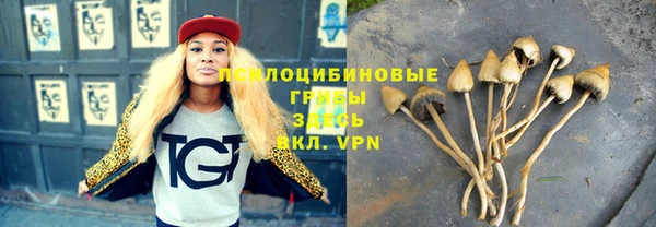 а пвп мука Новодвинск